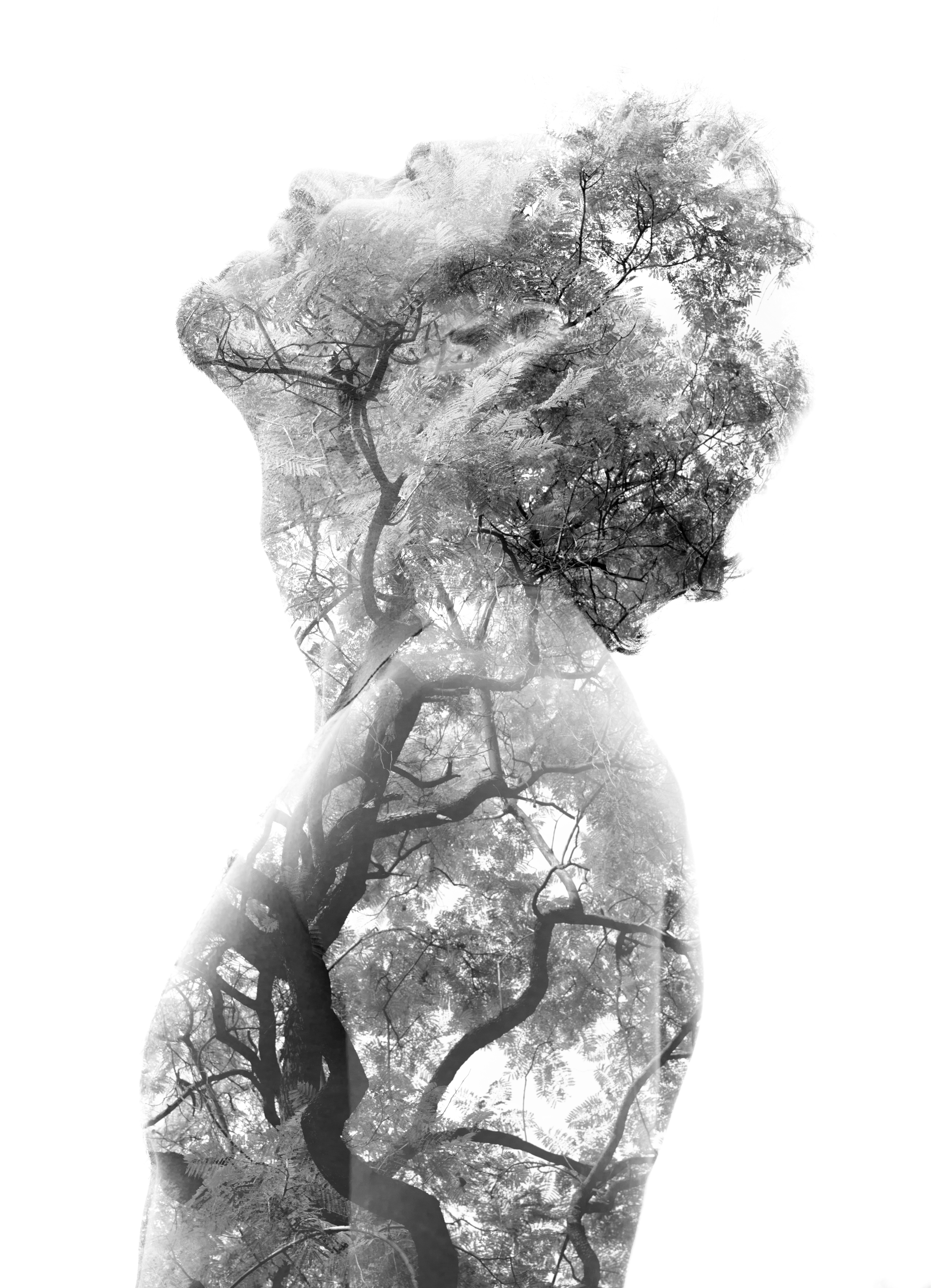 A focused, calm person, mind clear like open sky